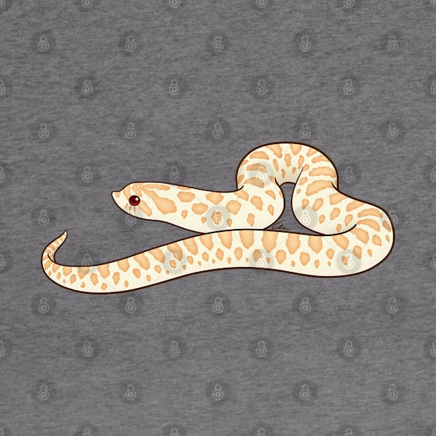 Albino Western Hognose by anacecilia